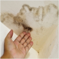 다르다누수탐지 다르다방수공사 PC 갤러리 18